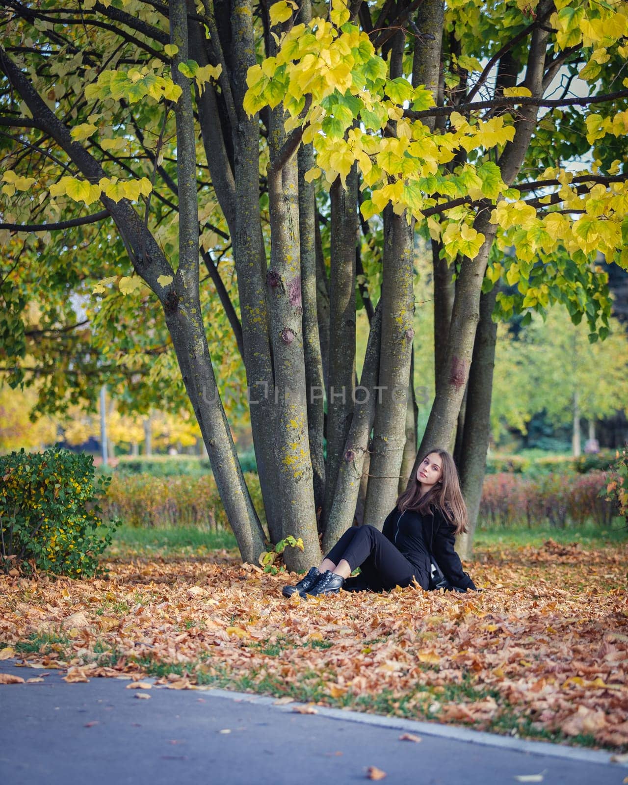 A beautiful girl sits by a tree on fallen leaves in an autumn park