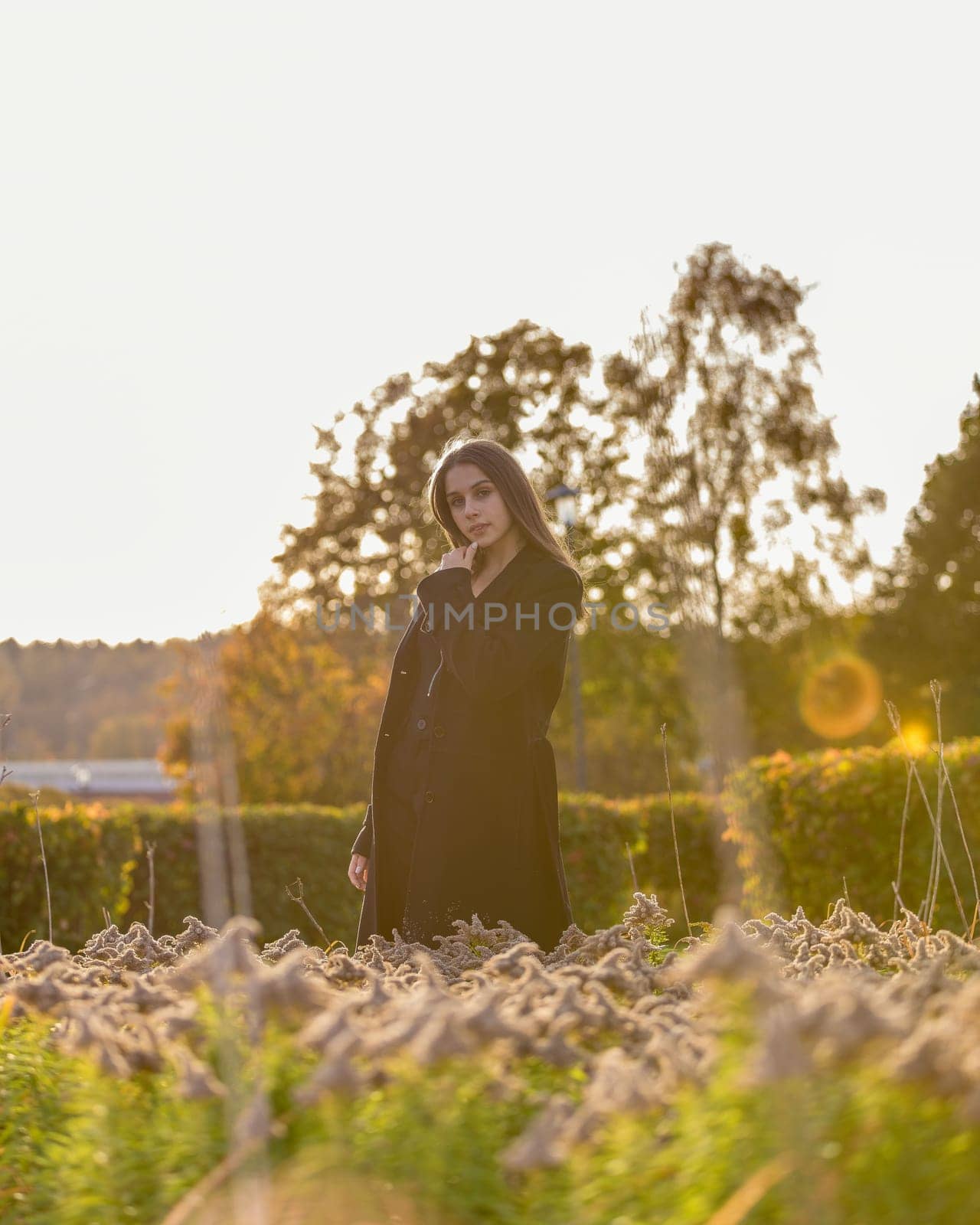 Beautiful girl posing in the sunshine in an autumn park