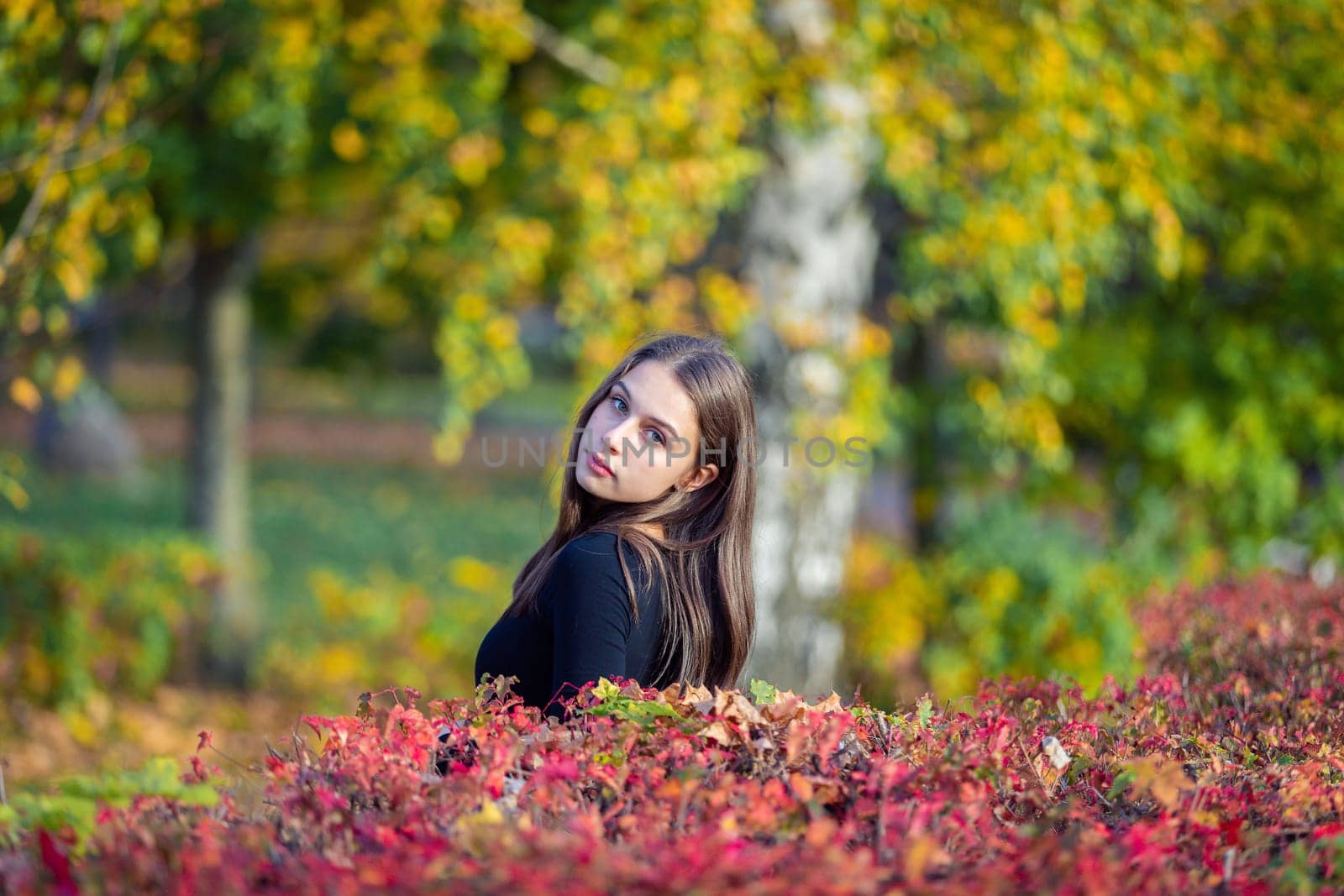Portrait of a beautiful girl near a red-yellow bush in an autumn park