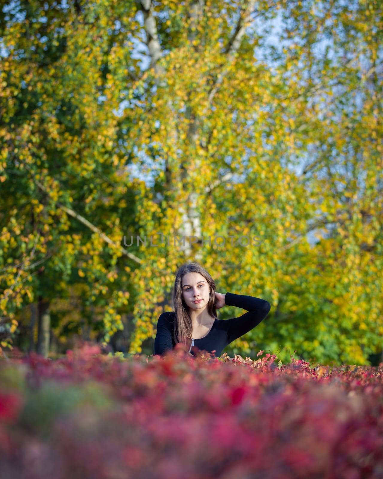 Portrait of a beautiful girl near a red-yellow bush in an autumn park