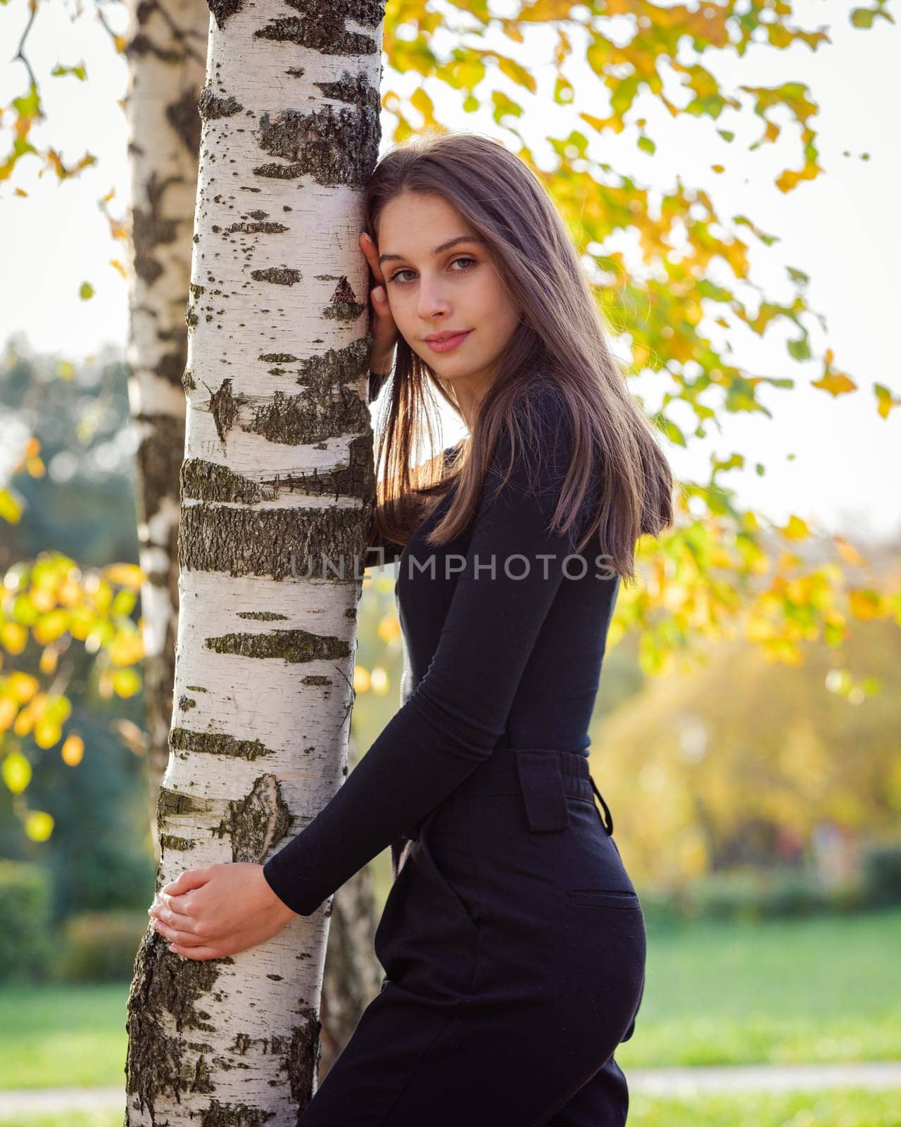 A beautiful girl posing near a birch tree in an autumn park