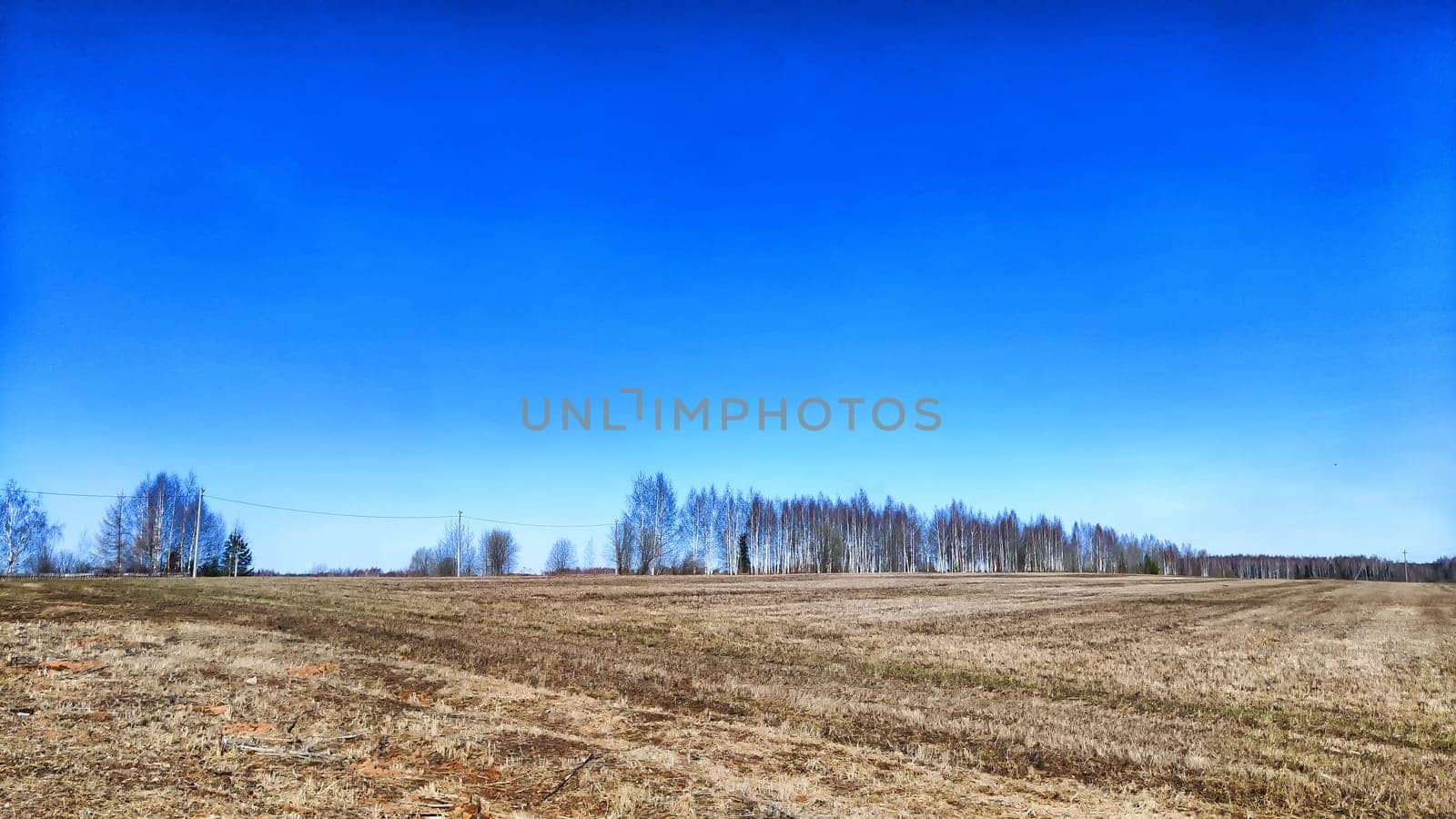 A vast, brown field stretches under bright blue sky, indicating early spring in a tranquil rural landscape