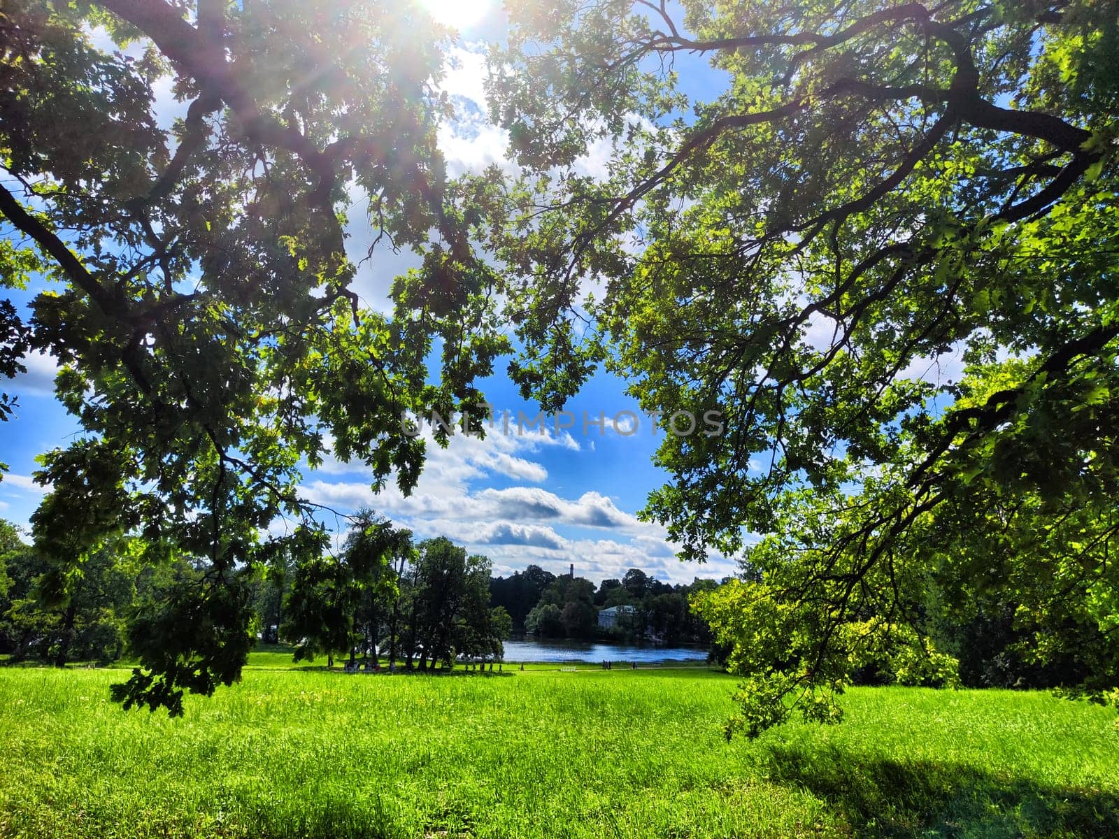 The park features tall trees and vibrant green grass, creating a tranquil atmosphere on a sunny summer day