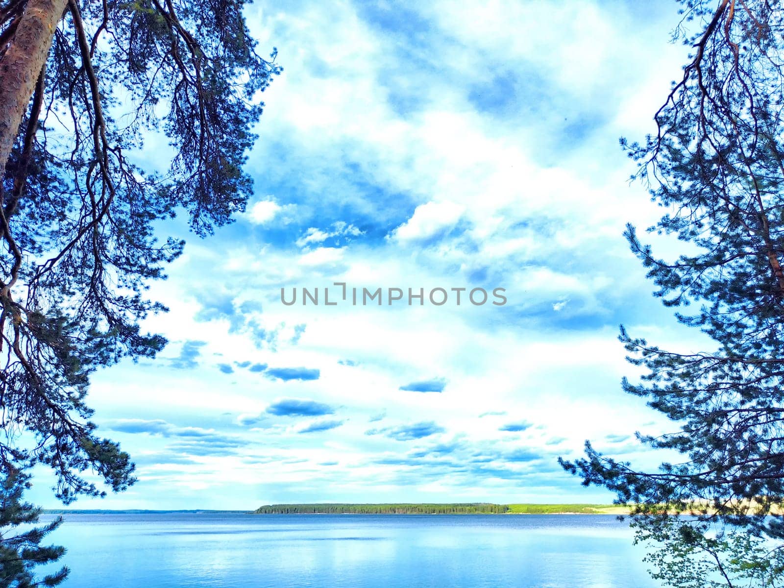 A tranquil lake is bordered by tall trees, with fluffy clouds reflecting in the calm water.