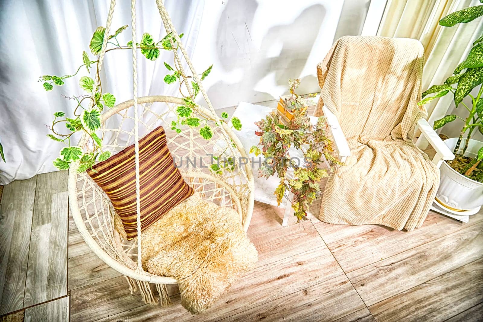 Modern cozy beautiful room with a braided rope macrame swing, chair, green plants, small table and curtains. Interior and background. Location for photo shooting