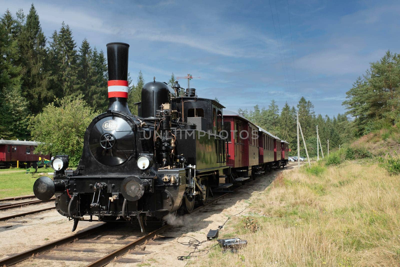 A classic steam locomotive travels through a beautiful forest setting, showcasing vintage transportation and the charm of rail travel. Perfect for historical and nostalgic themes in vrads,denmark