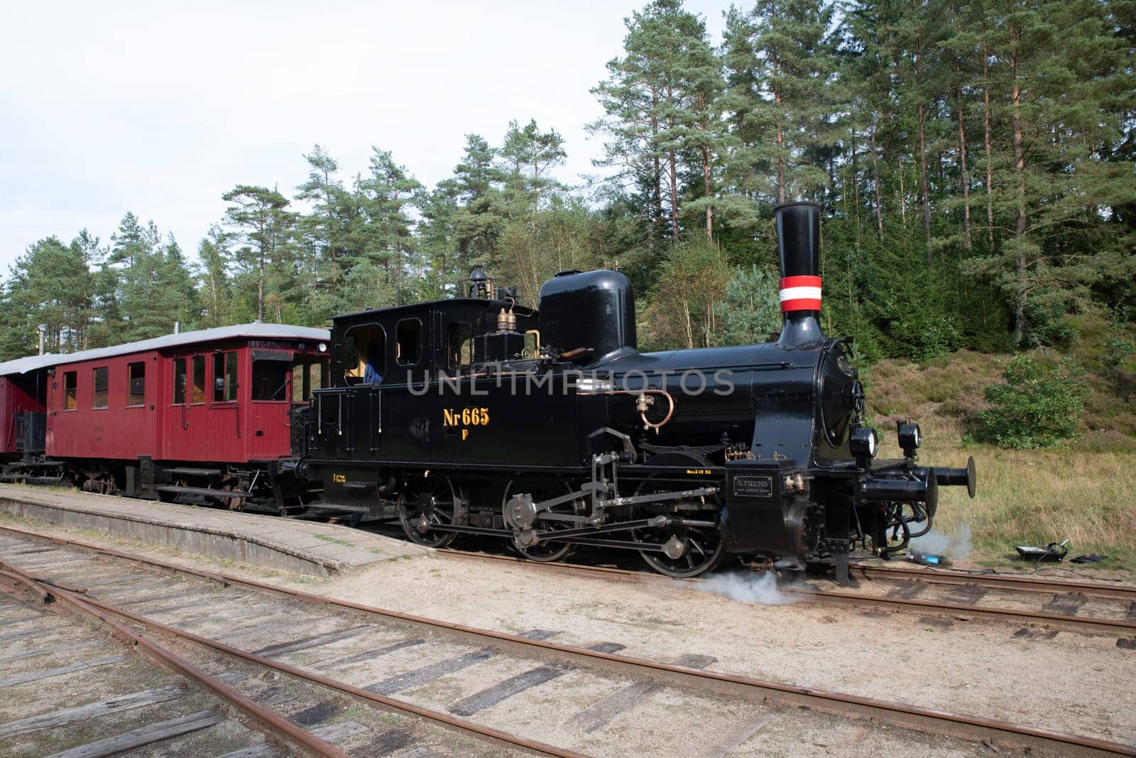vrads,denmark,08-09-2024:A historic steam train from Vrads to Bryrup in denmark,with red carriages travels through a lush forest. The antique locomotive evokes a sense of nostalgia and adventure in a tranquil natural setting