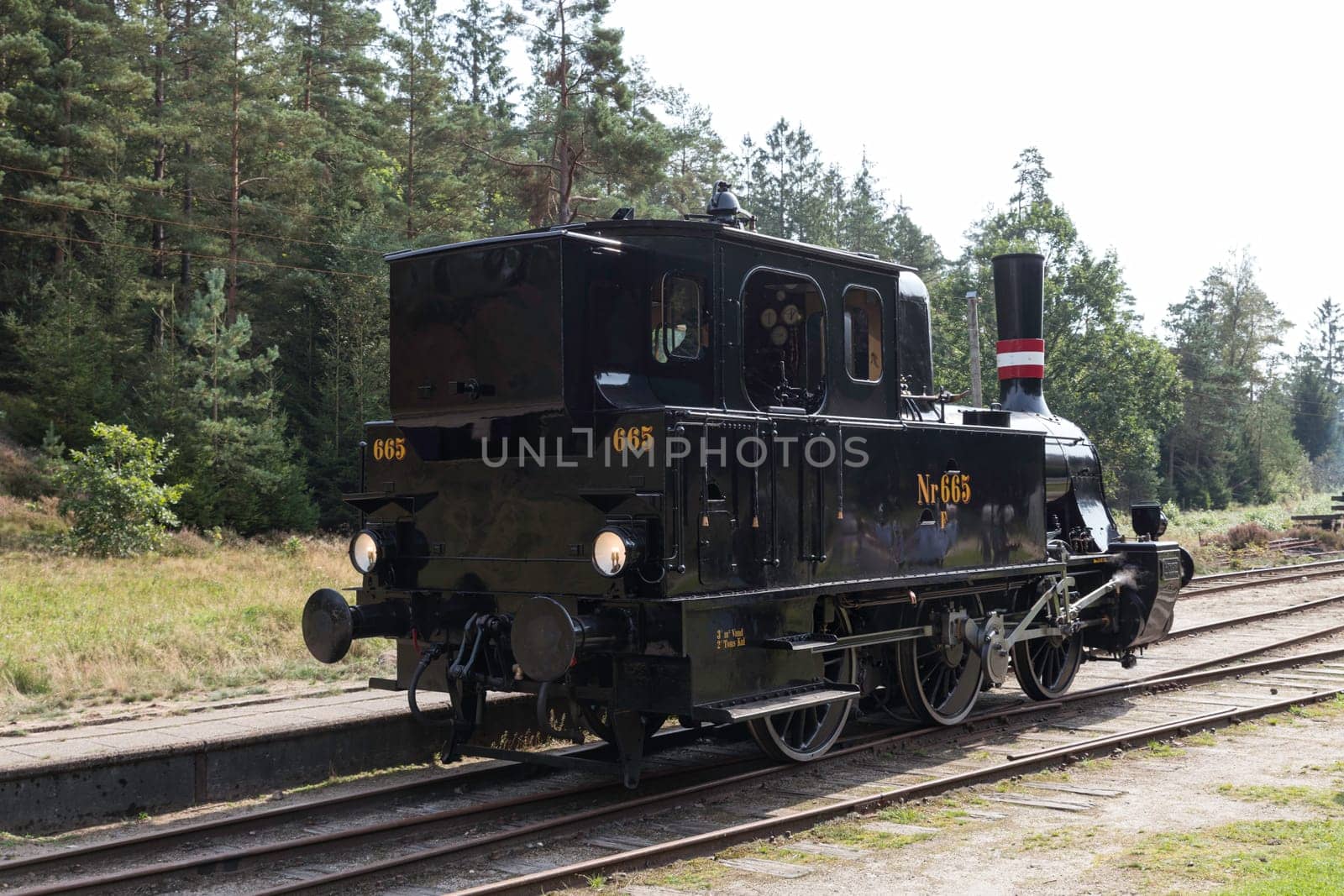 vrads,denmark,08-09-2024:A classic steam locomotive travels through a scenic forest track, showcasing historical engineering and transportation. The lush greenery adds to the charm and nostalgic feel on vrad station in denmark,