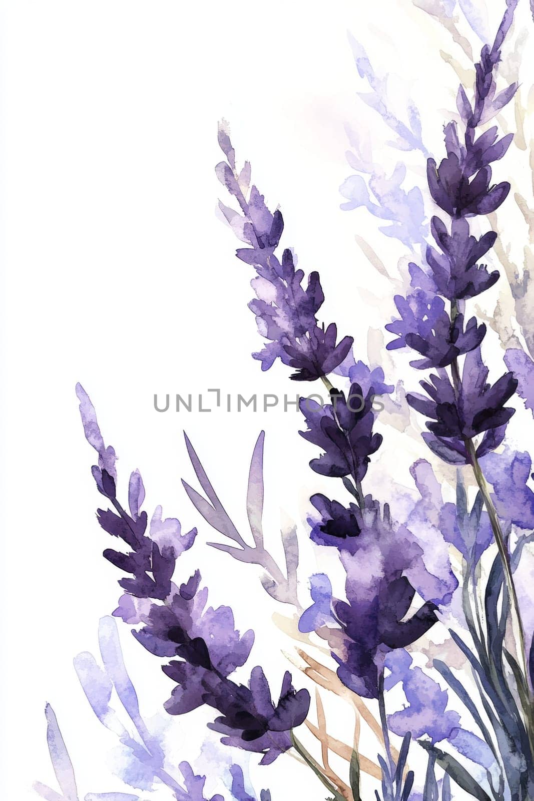 Flowers painted with purple watercolor on white background. High quality photo