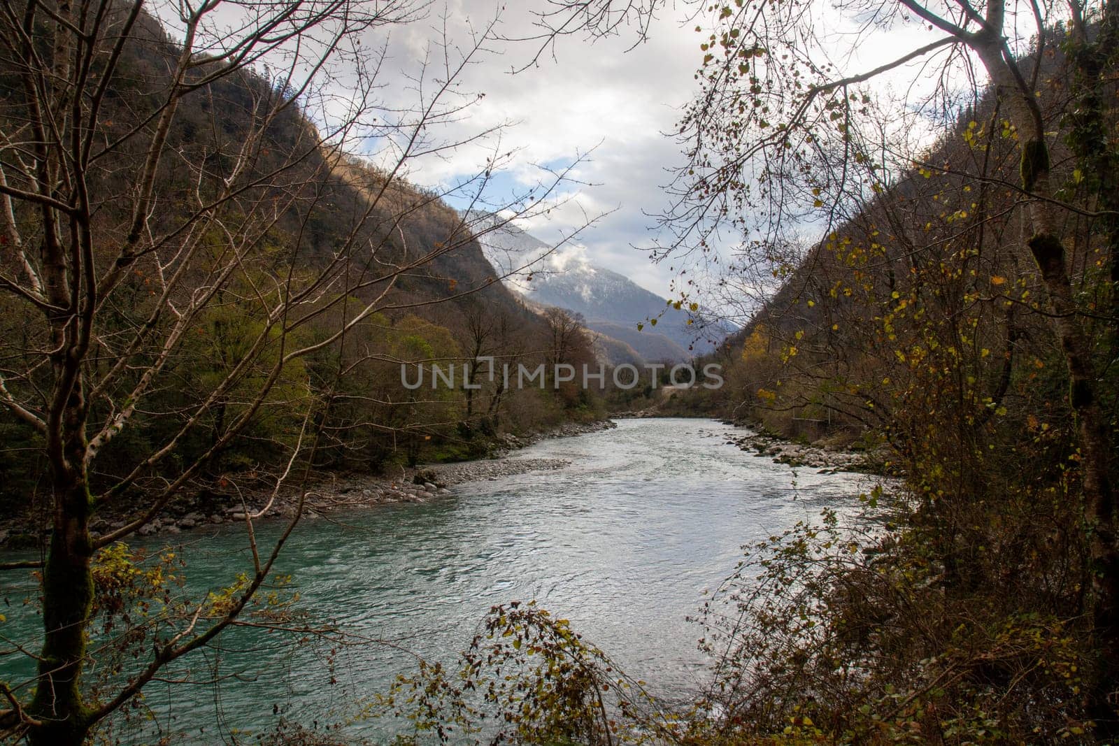 A river flowing through the mountains, creating a serene landscape of nature's untouched beauty