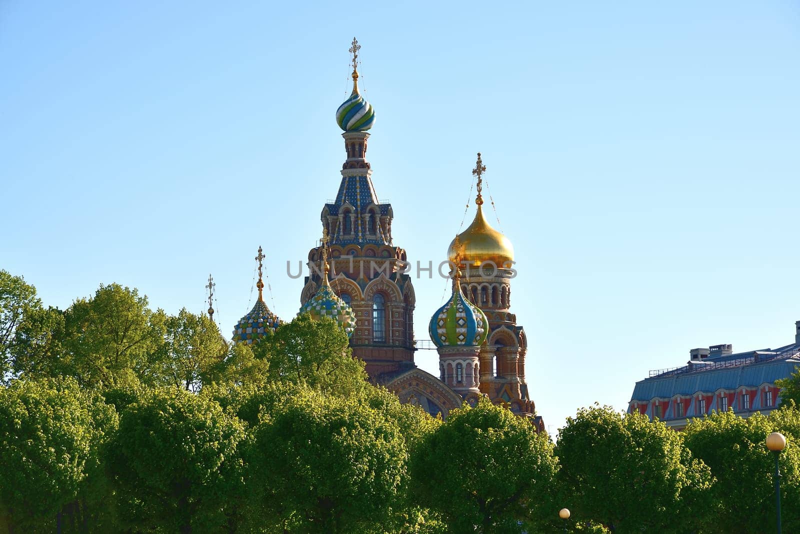 View of the domes of the Church of Savior on Blood from behind trees