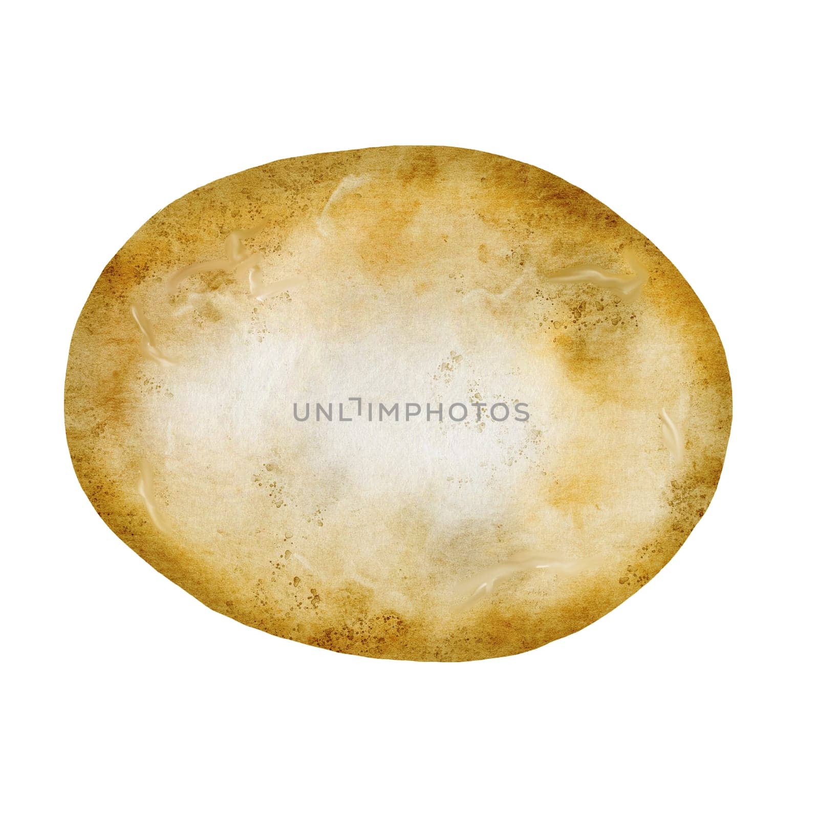 Potato watercolor. Ripe vegetable hand drawn on white isolated background. Organic farm product. Ideal for potato product label, tags and posters. High quality illustration