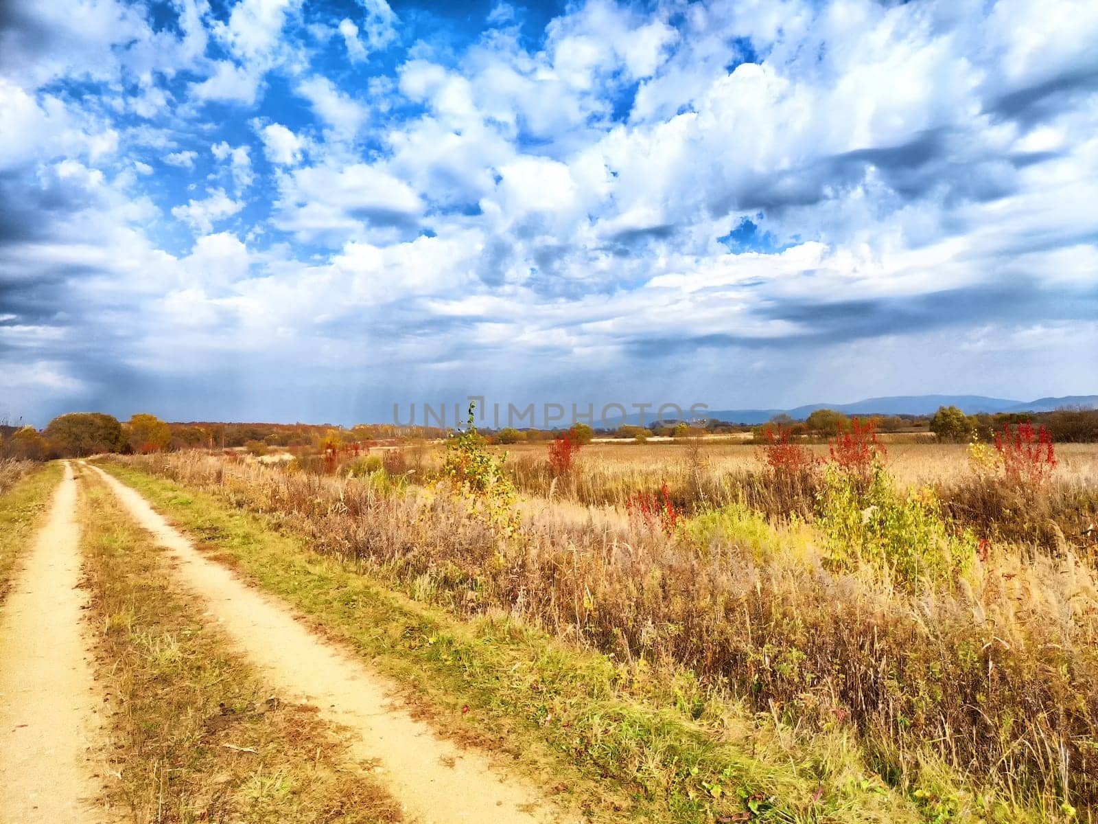 A dirt path winds through a field adorned with autumn foliage and a vast sky overhead.