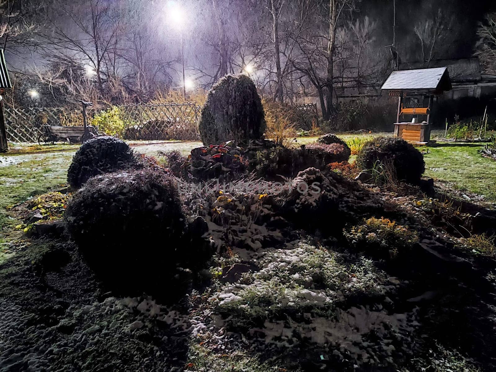 In a tranquil garden at night, snow gently covers bushes while soft lights cast an ethereal glow on the serene landscape.