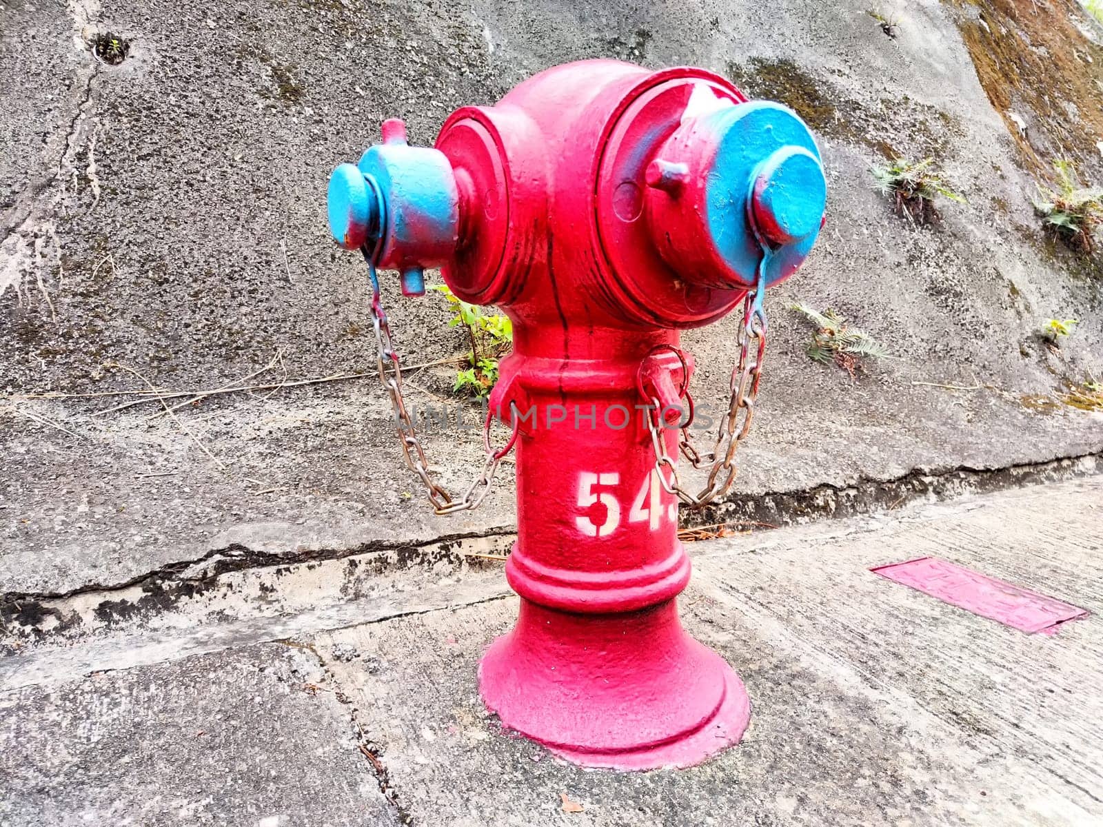 A vibrant fire hydrant with blue details stands amidst tall grass and plants along a concrete surface, showcasing urban infrastructure.