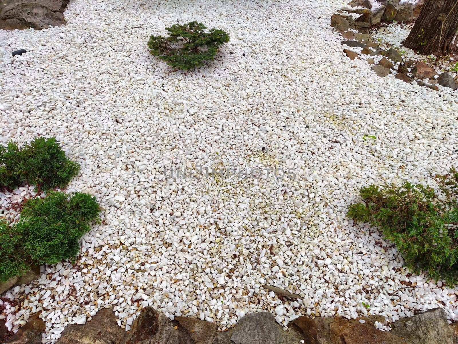 This garden showcases an expanse of white stones interspersed with small green shrubs, creating a peaceful atmosphere.
