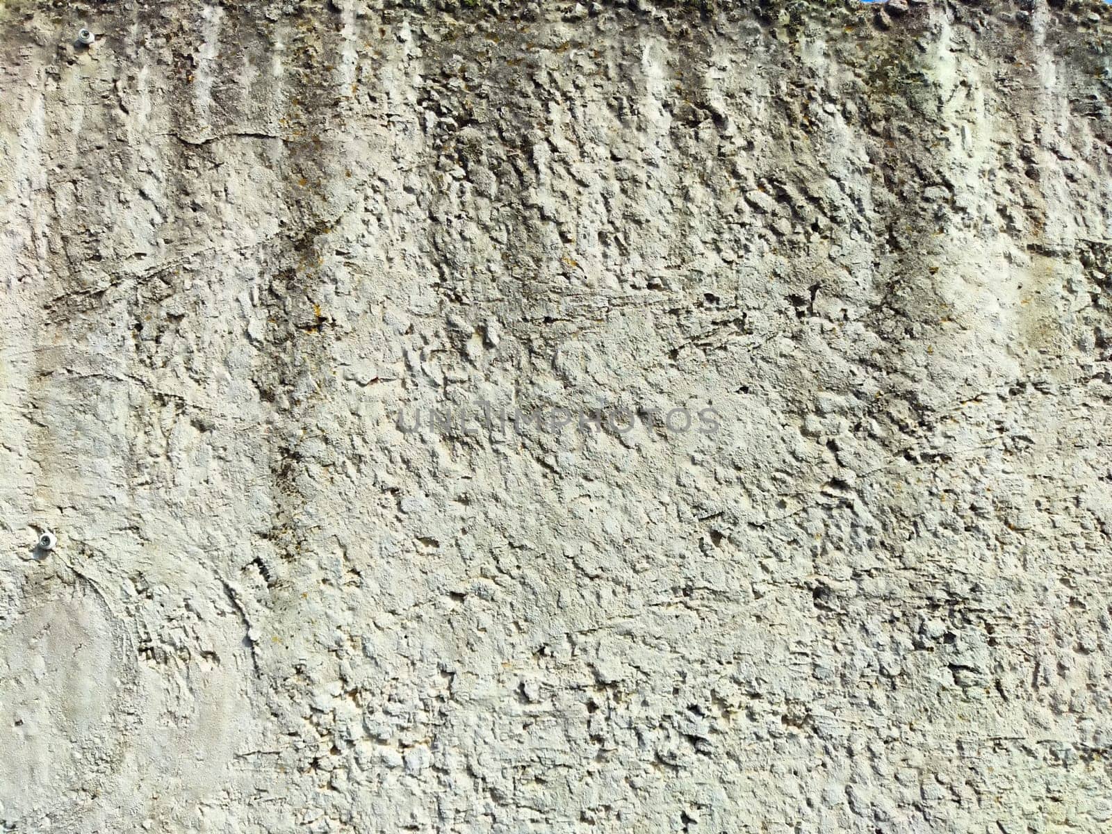 A rough concrete wall displays intricate textures and patterns under natural light.