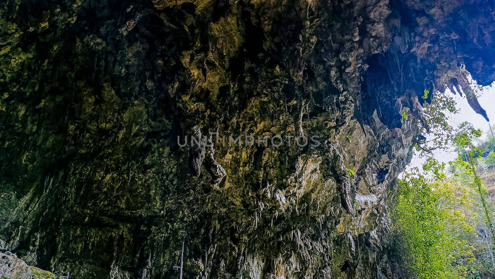 A rocky cliff with green plants growing on it. The plants are growing on the side of the cliff, and the cliff is covered in moss. The scene is peaceful and serene