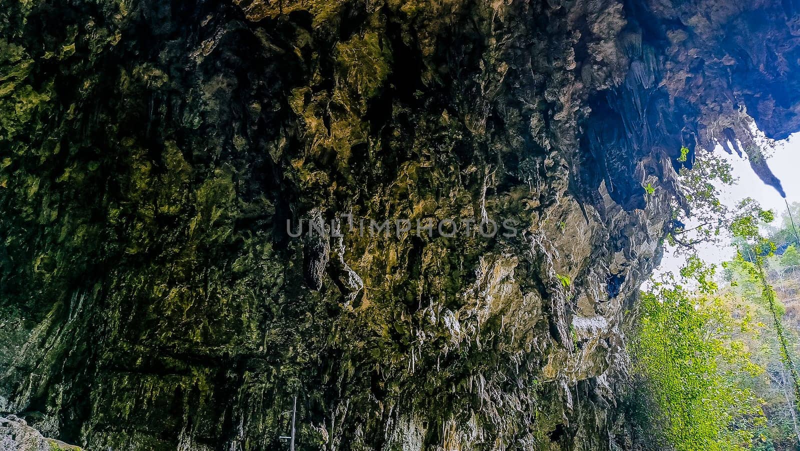 A rocky cliff with green plants growing on it. The plants are growing on the side of the cliff, and the cliff is covered in moss. The scene is peaceful and serene
