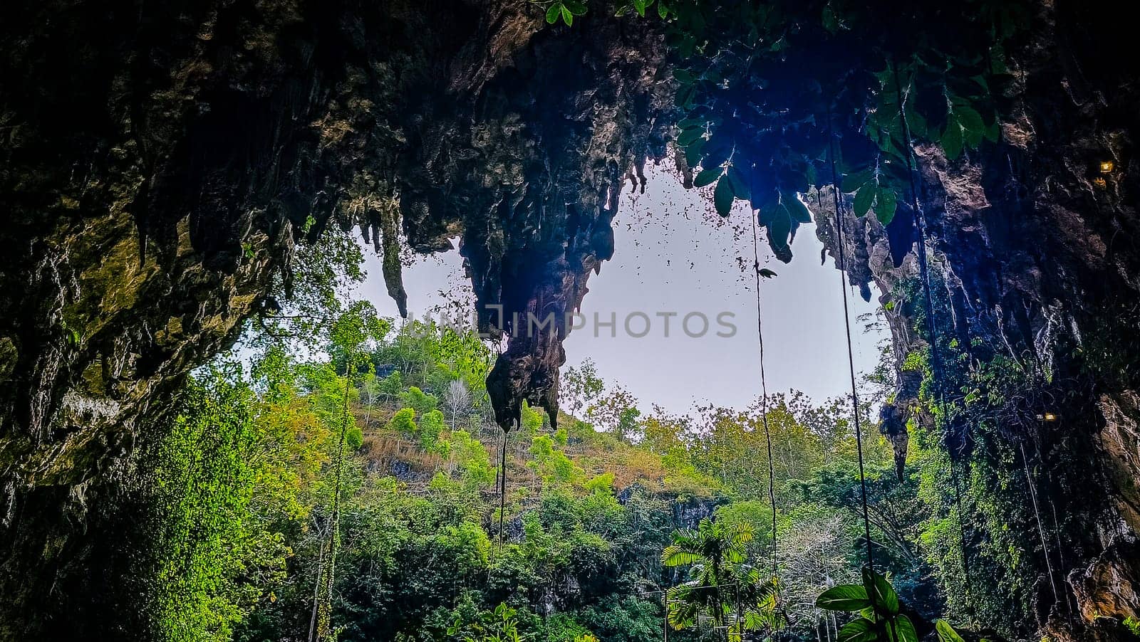 A rocky cliff with green plants growing on it. The plants are growing on the side of the cliff, and the cliff is covered in moss. The scene is peaceful and serene