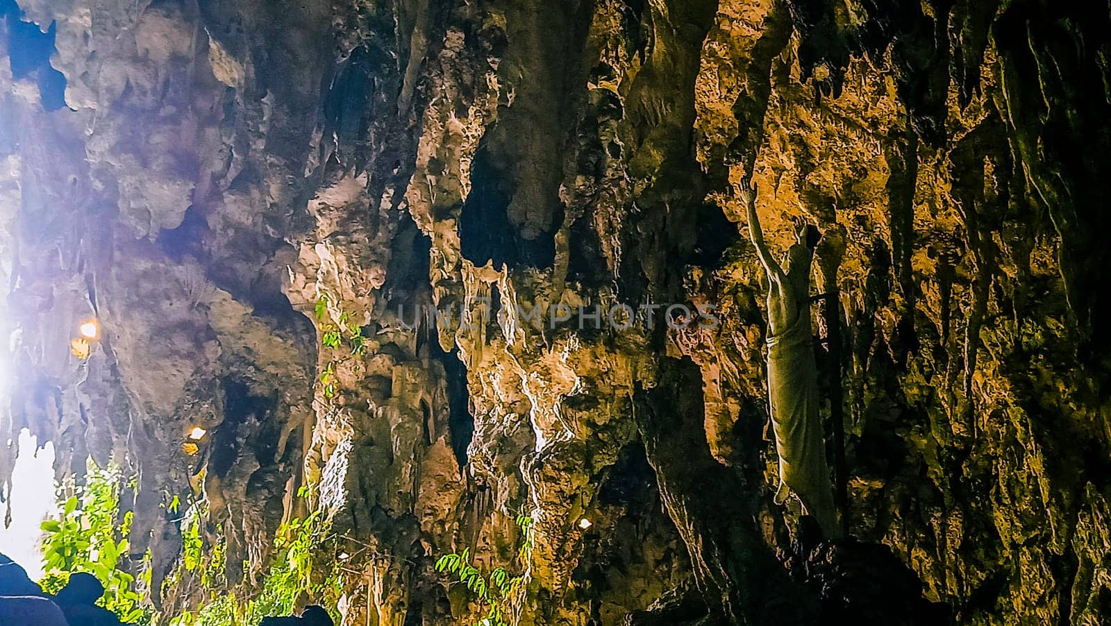 A rocky cliff with green plants growing on it. The plants are growing on the side of the cliff, and the cliff is covered in moss. The scene is peaceful and serene