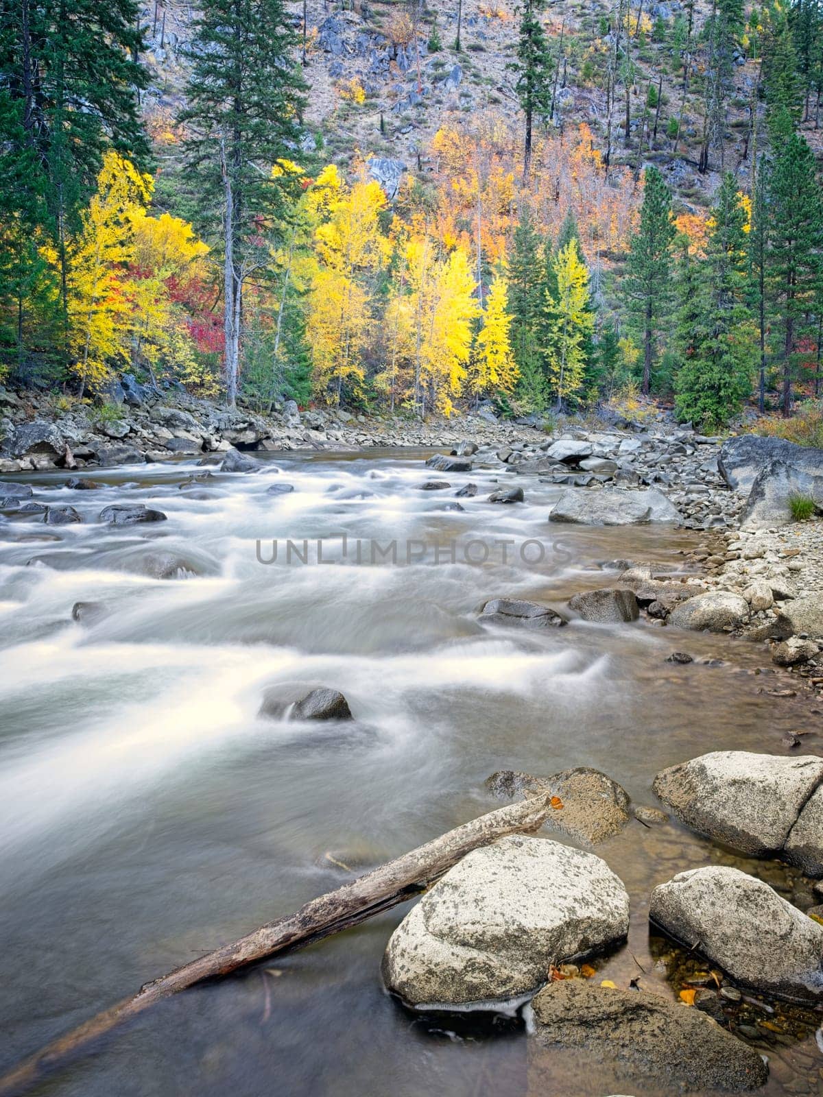 The rapids in the Tumwater Canyon area of the Wenatchee river in autumn near Leavenworth, Washington.