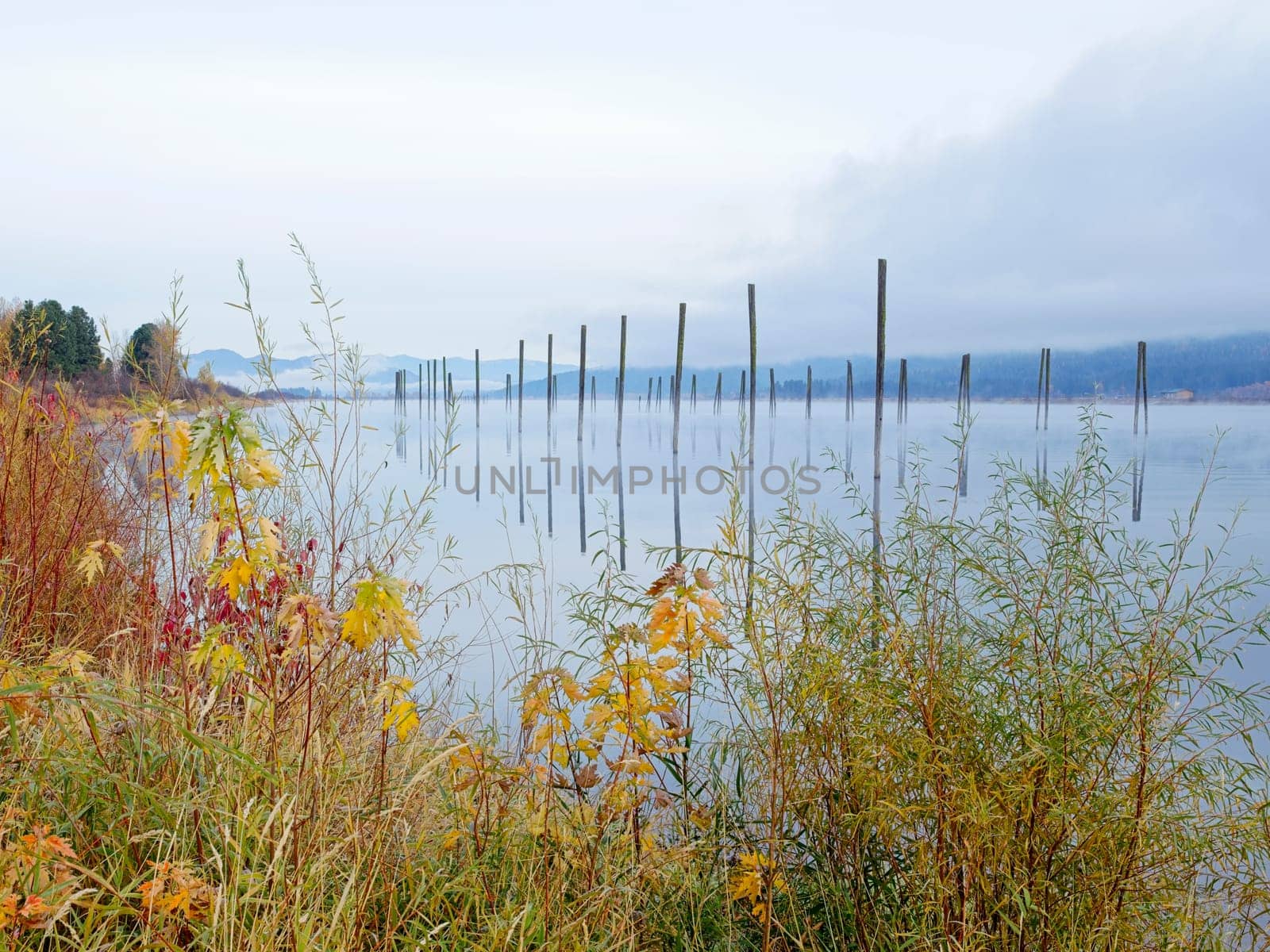 Looking out over the fall foliage at the calm Pend Oreille River under an overcast sky in eastern Washington.