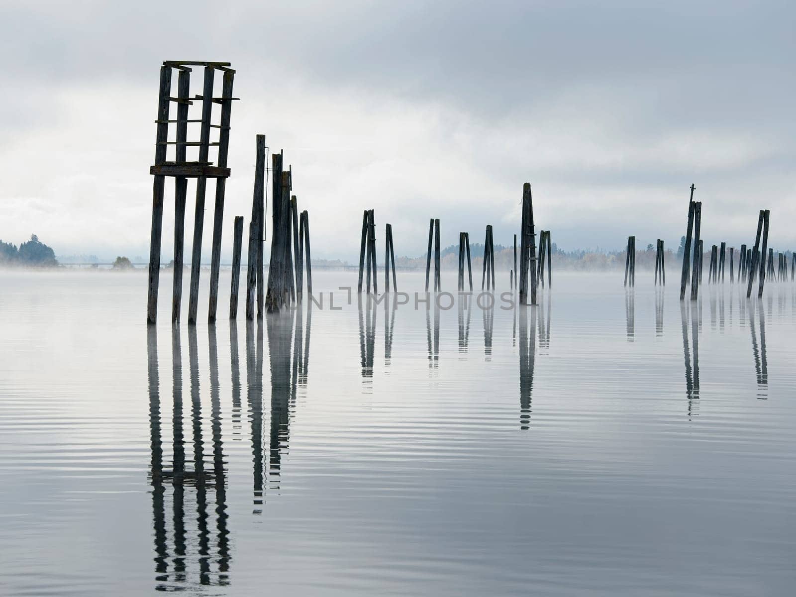 Tall wood pilings casting their reflections stand in the calm Pend Oreille River under a cloudy sky in eastern Washington.
