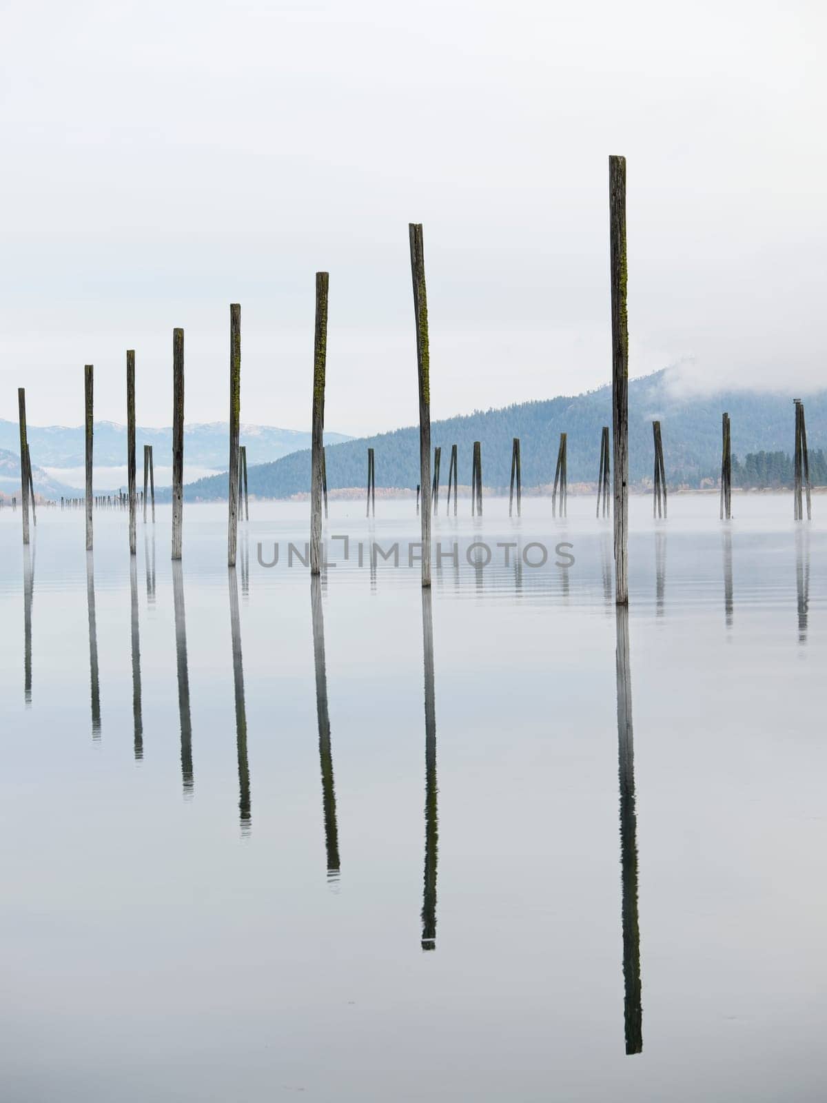 Tall wood pilings casting their reflections stand in the calm Pend Oreille River under a cloudy sky in eastern Washington.