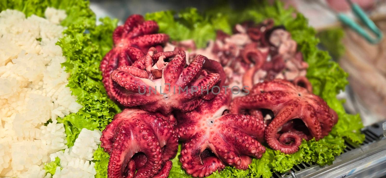Fresh octopus arranged on a bed of lettuce at a seafood market. Vibrant colors highlight the octopus's texture, creating an enticing display for seafood enthusiasts, good for recipe book and content creation