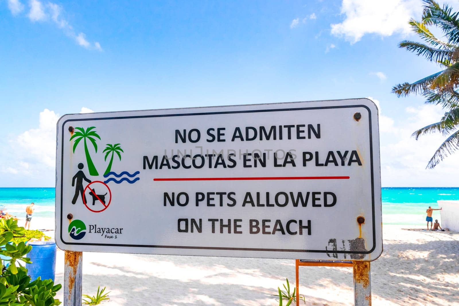 Information and no pets allowed signs on the beach in Playa del Carmen Quintana Roo Mexico.