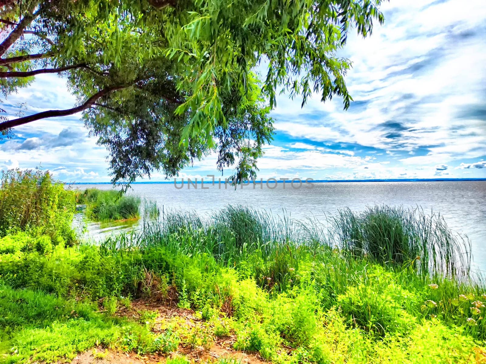 A serene lake stretches under a bright sky, bordered by vibrant green grass and reeds.