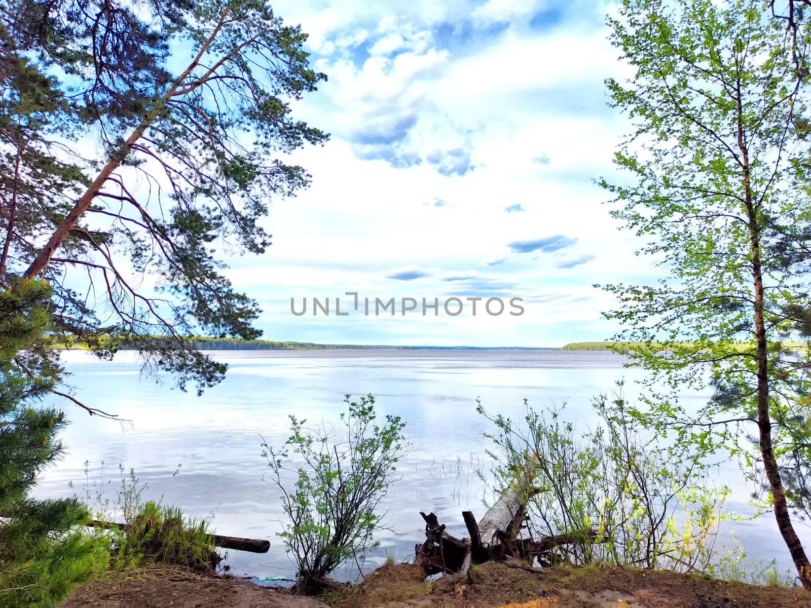 A serene view of a calm lake bordered by trees under a bright blue sky.
