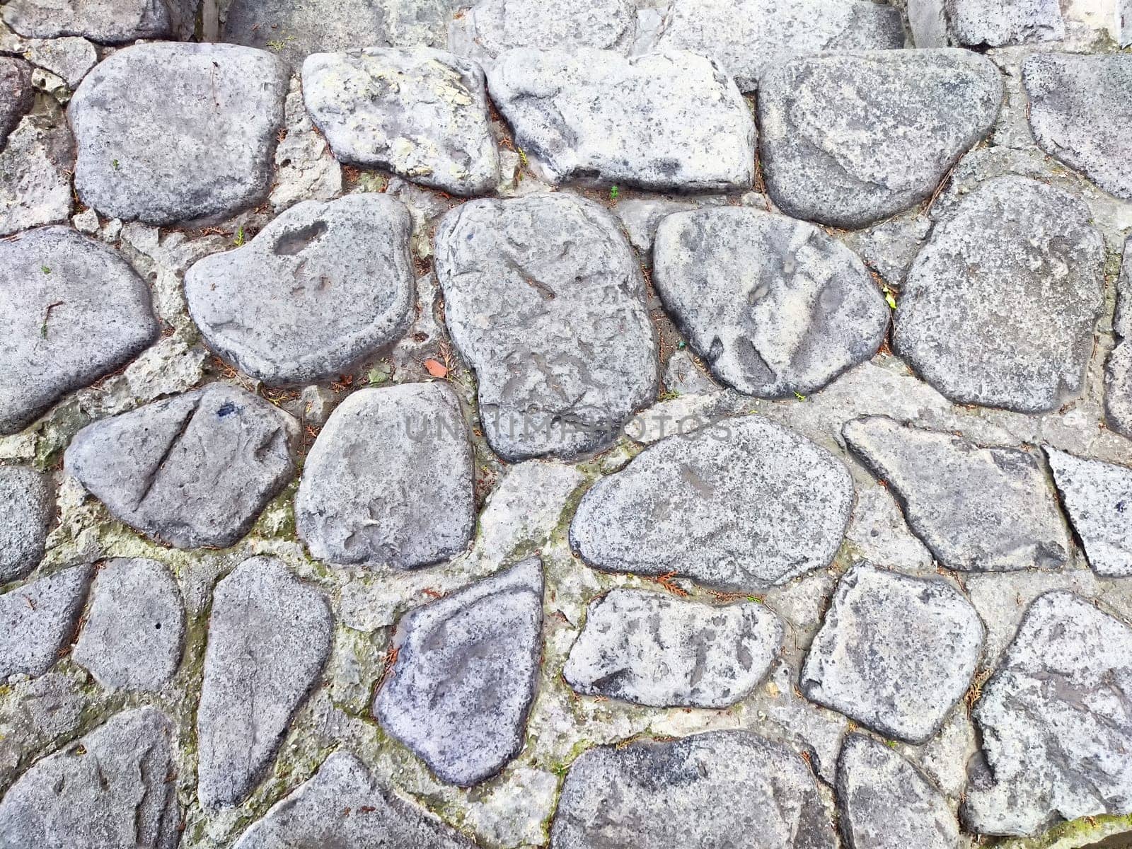 A textured pathway made of stones showing signs of wear and plant growth.