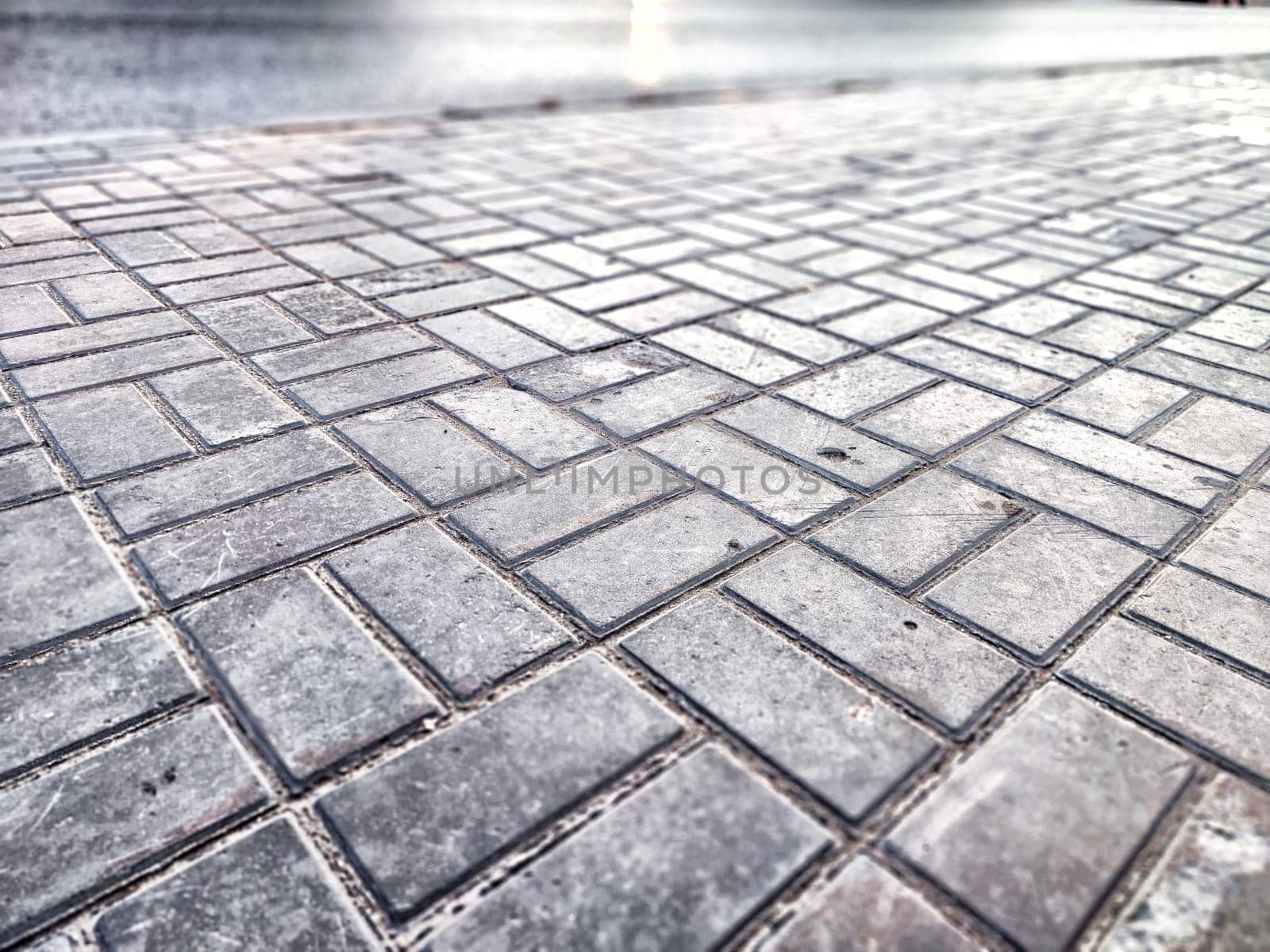 A textured pavement walkway captures sunlight in a city environment.