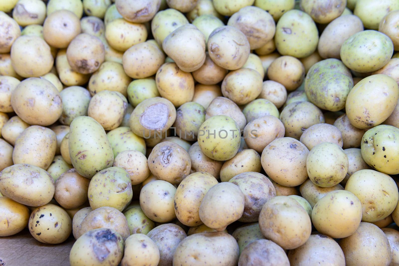 vegetable root food vegan nutrition ingredient fresh agriculture organic vegetarian raw background
