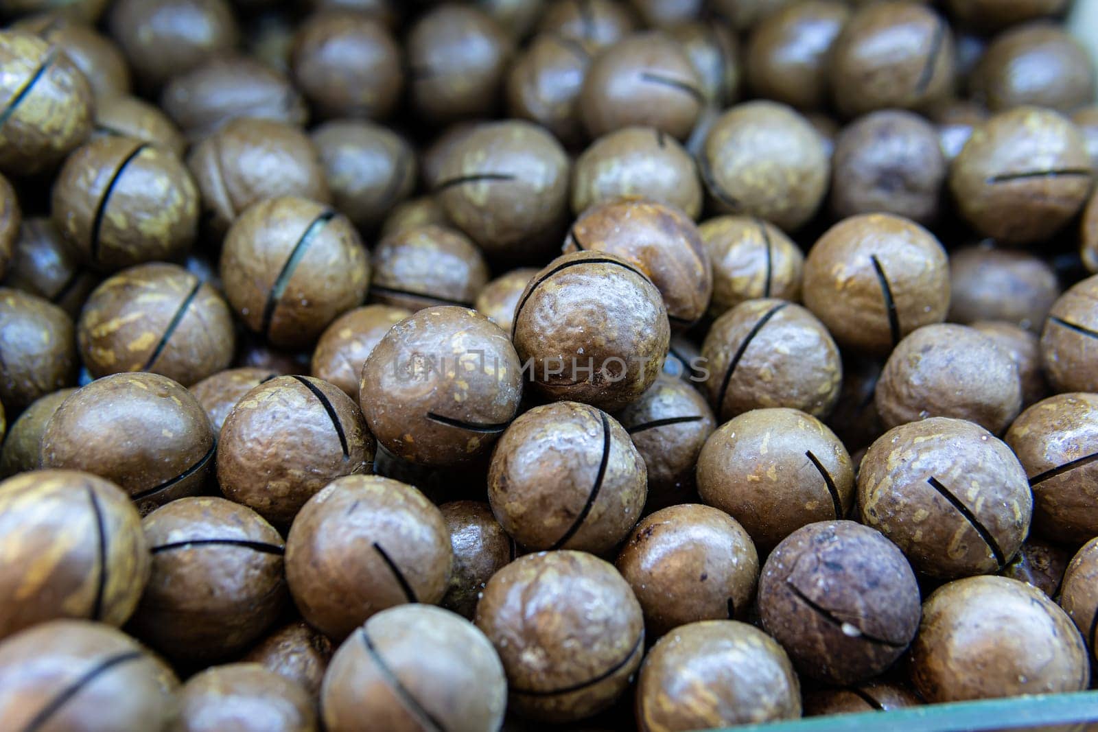 cooking people macadamia snack - freshness nutshell food ingredient nut no organic seed
