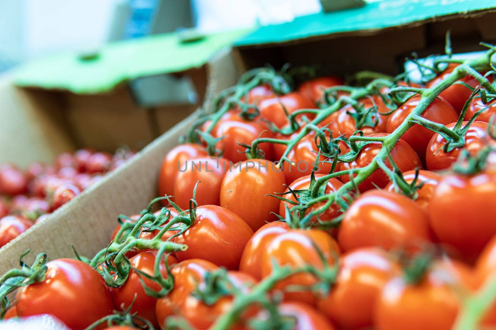 tomato raw vegetable produce food organic juicy red market fresh nature agriculture vegetarian