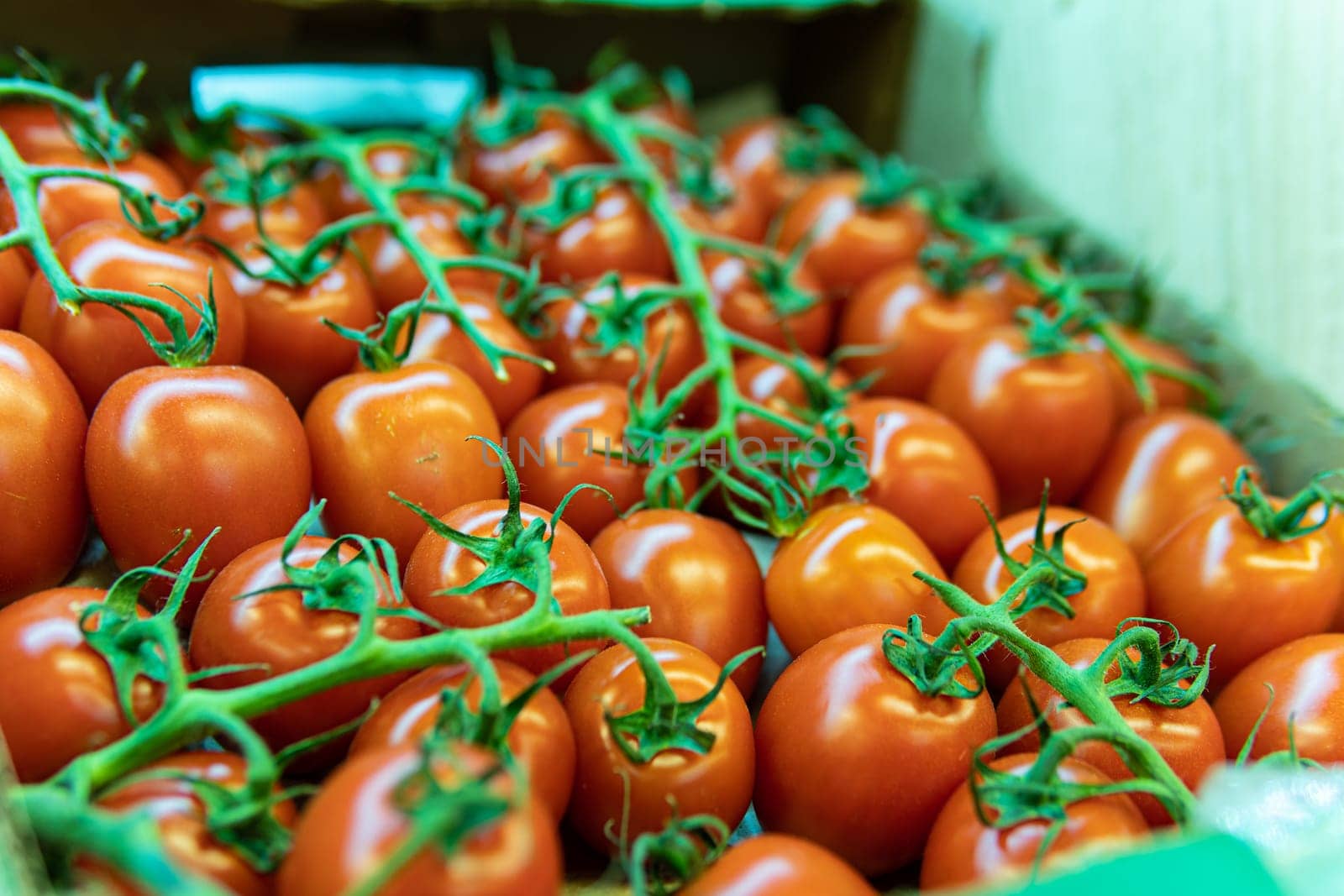 nature red organic juicy agriculture tomato vegetarian vegetable market produce fresh raw food