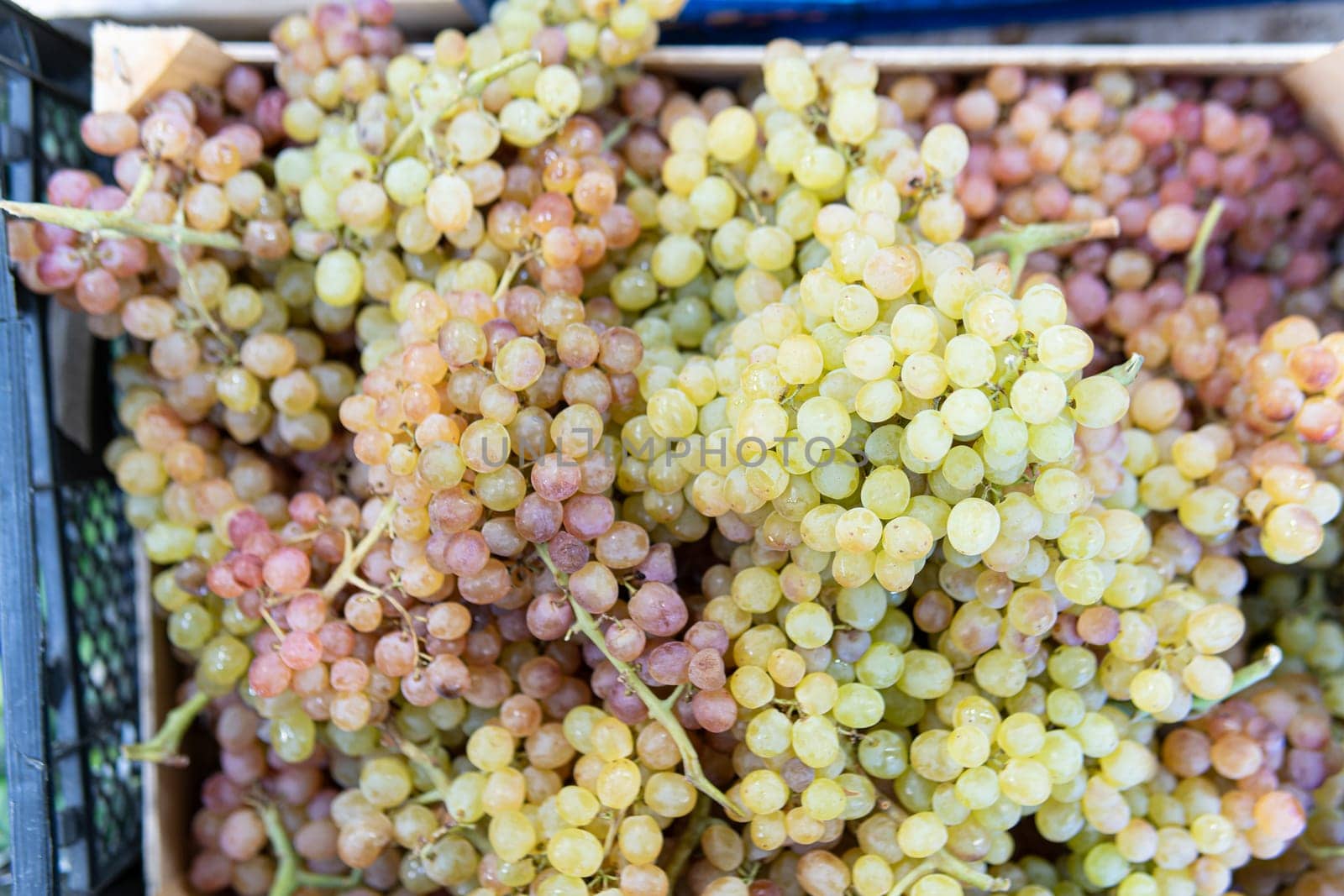 organic healthy nutrition nature grape fruit market harvest food green juicy fresh agriculture