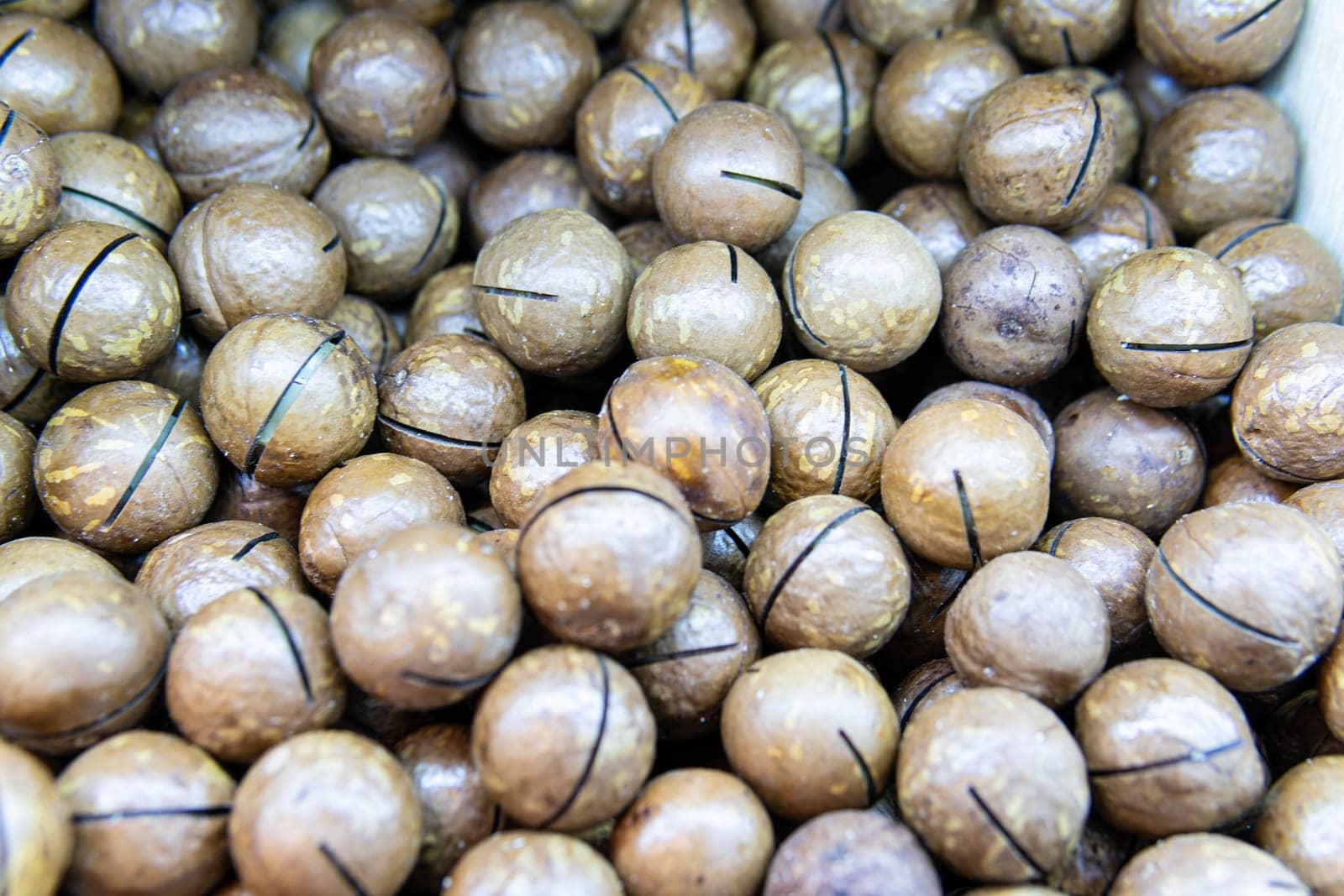 - freshness no organic nut people seed food ingredient cooking nutshell snack macadamia