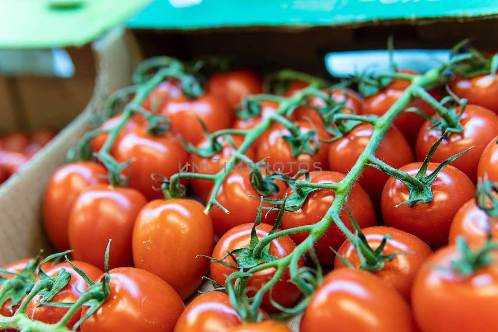 agriculture juicy produce raw market food vegetable red nature tomato fresh organic vegetarian