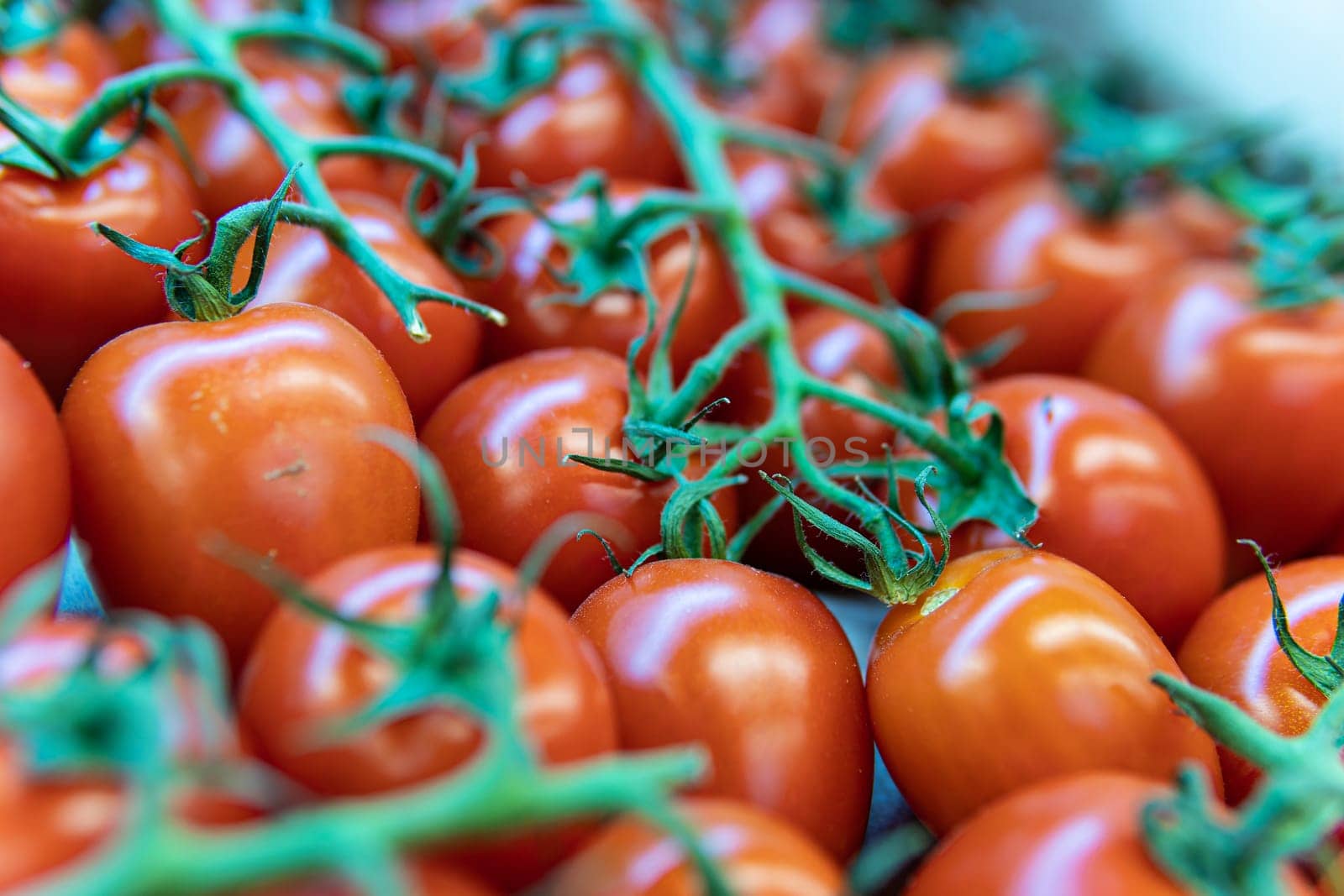 food raw tomato market vegetable red produce fresh agriculture organic nature juicy vegetarian