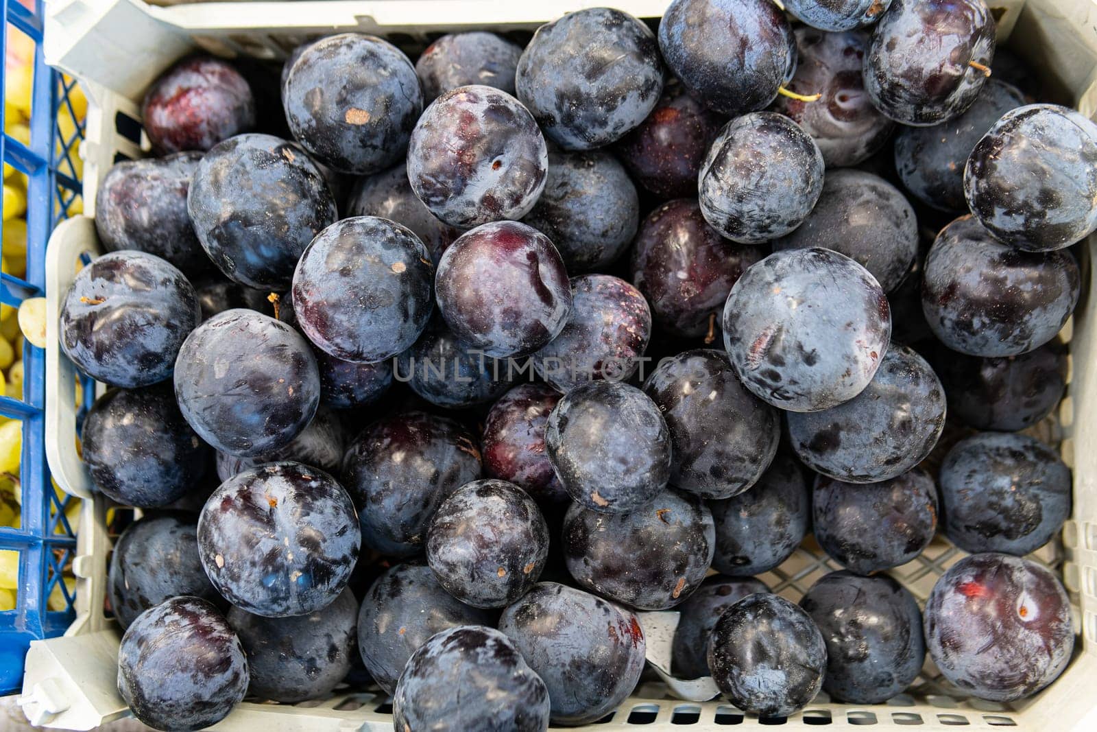 healthy fresh agriculture organic background sweet juicy harvest natural food fruit market ripe