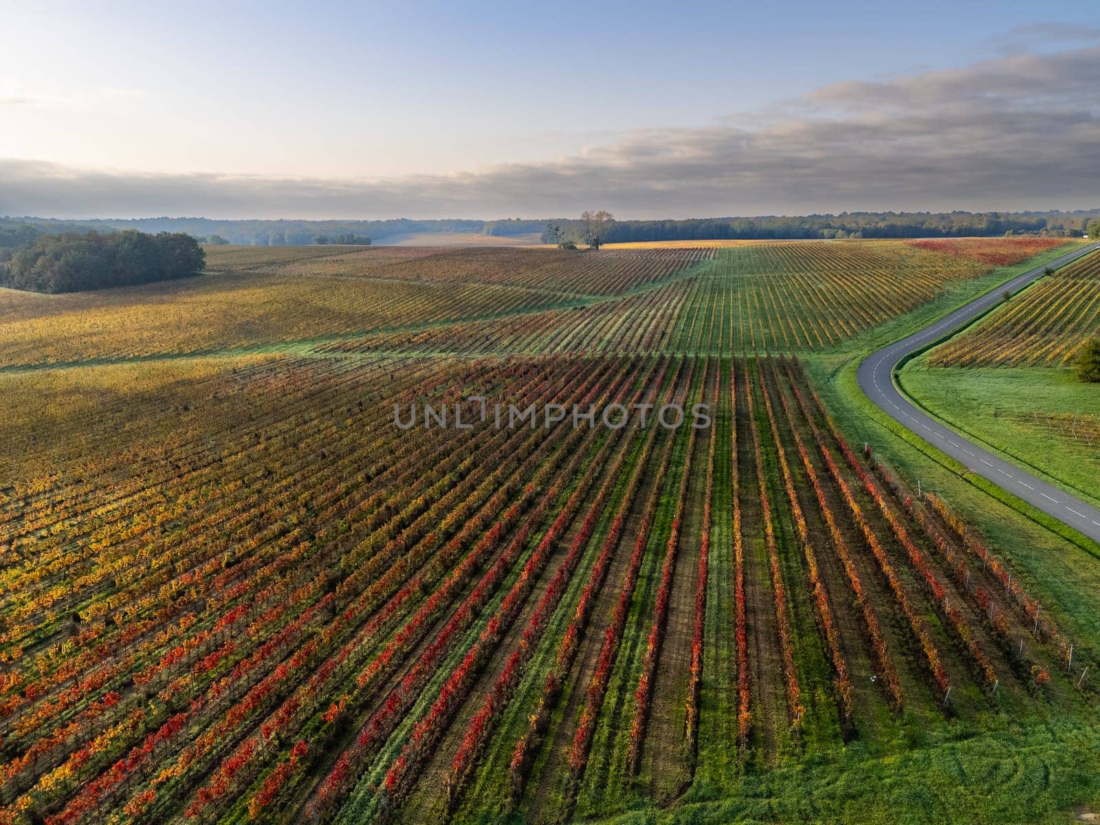 Autumn landscape around Bordeaux vineyards, Bordeaux Vineyard at sunrise in autumn, Entre deux mers, Langoiran, Gironde. High quality photo