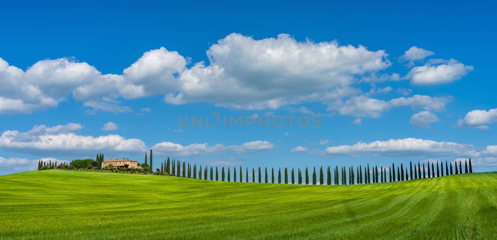 Beautiful Tuscan landscape with traditional farmhouse and dramatic clouds on a sunny day in Val d'Orcia, Italy by Sonat