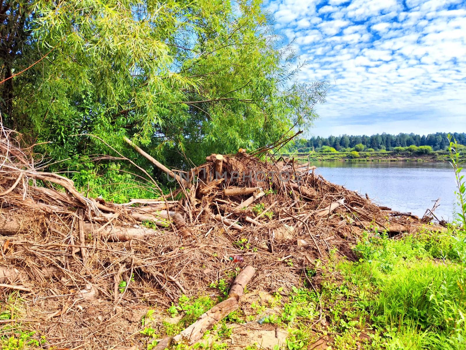 A significant accumulation of fallen trees and debris lines the shore, illustrating the aftermath of a spring flood and water pollution