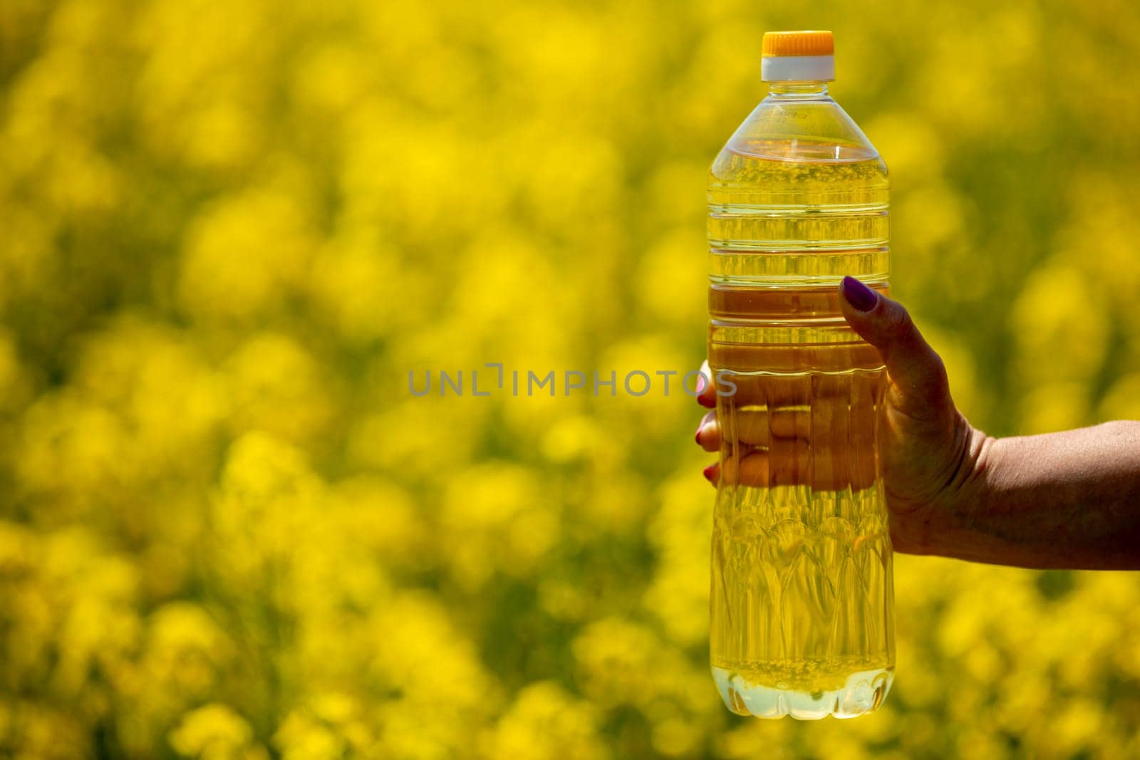A transparent bottle of cooking oil is showcased in front of a vibrant backdrop of blooming, sunny yellow flowers