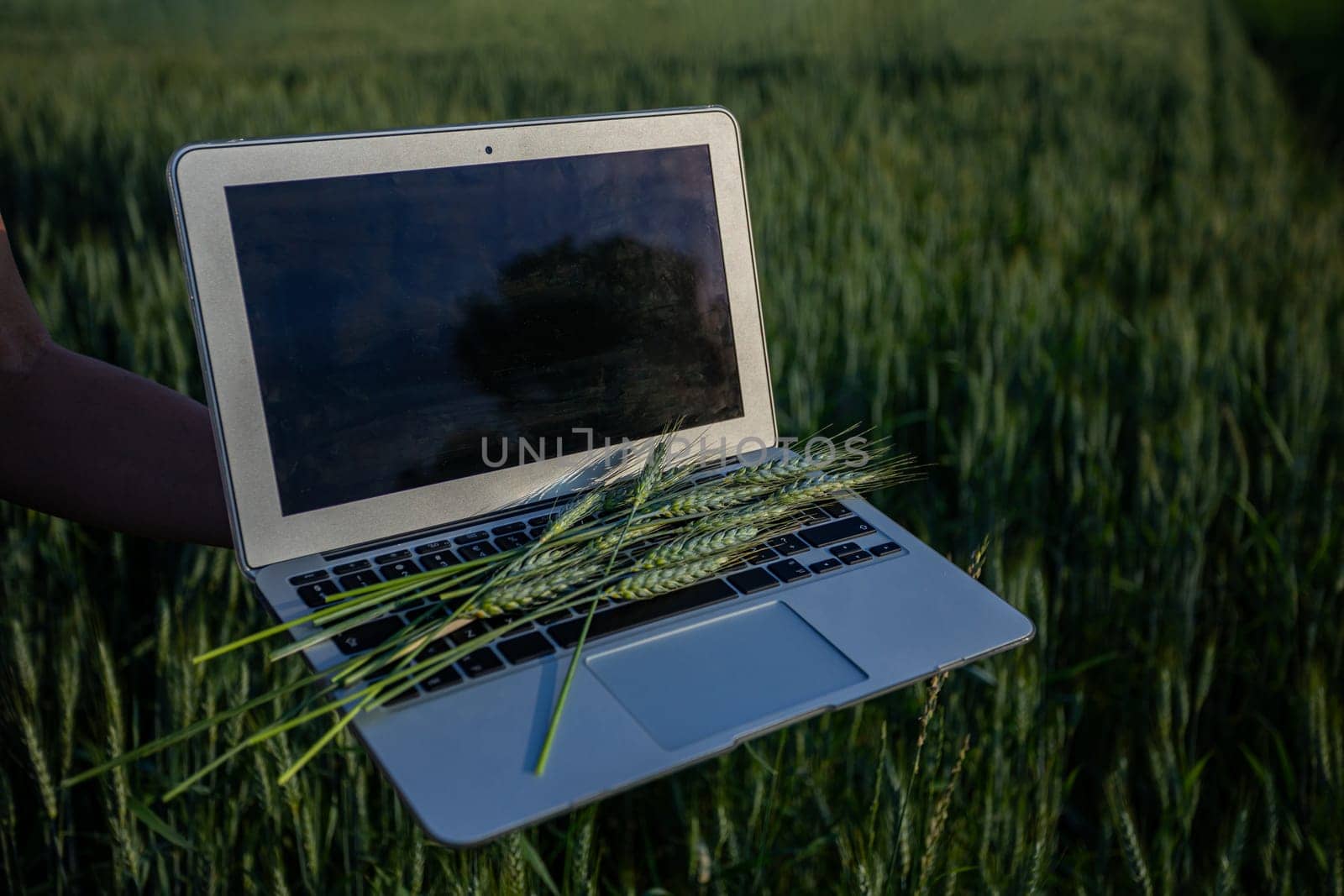 A laptop beautifully adorned with fresh crops, showcasing the remarkable fusion of technology and agriculture