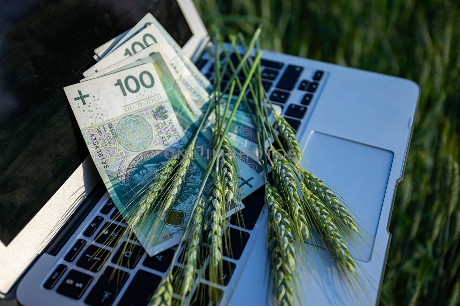 Cash and wheat together symbolize the unique fusion of finance and agriculture in todays digital age reality